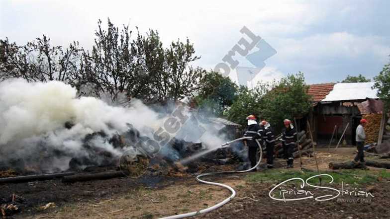 Foc