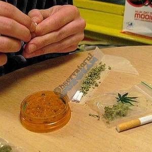 marijuana_or