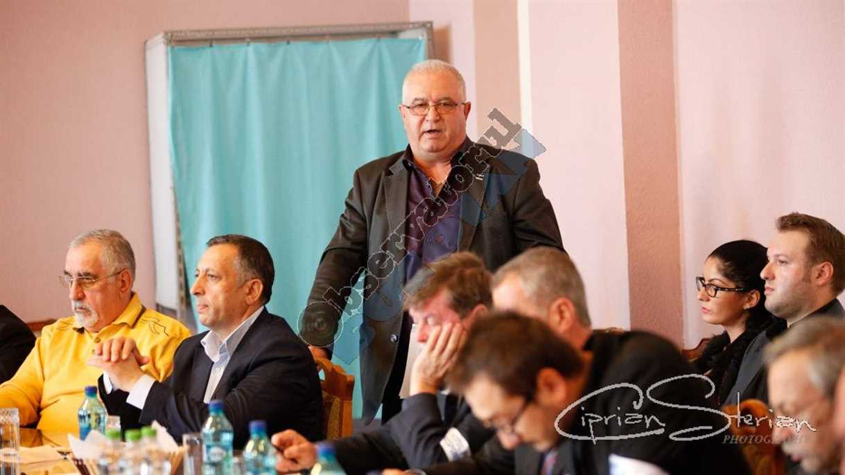 Mihai Margineanu-1