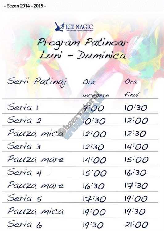 program patinaj