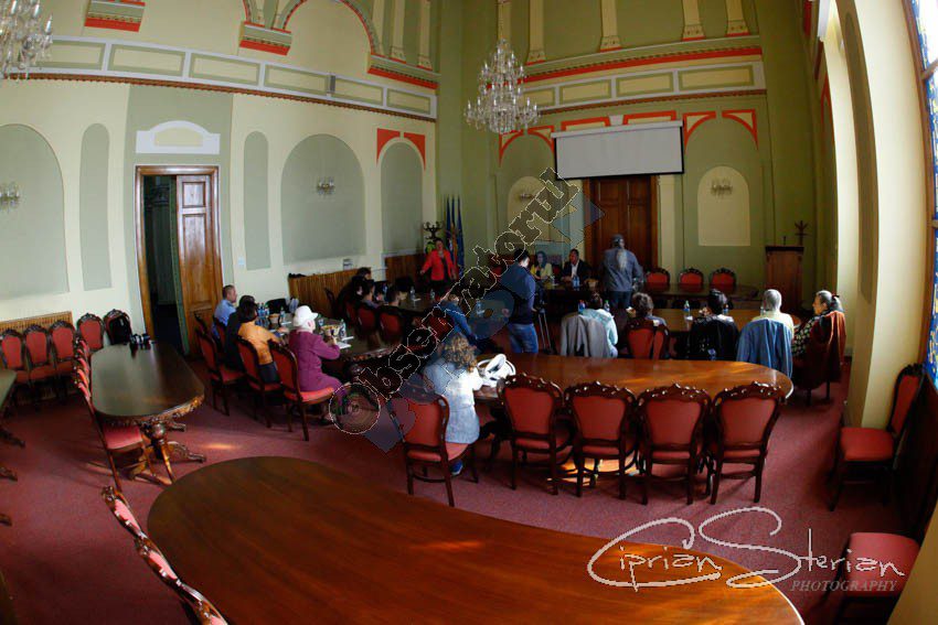 sala-nicu-constantinescu