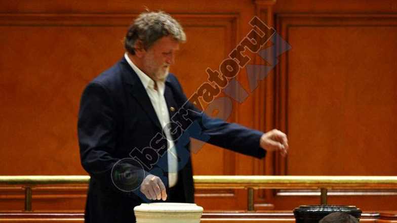 Ion Vasile vot senat