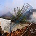 Incendiu Vadu Pasii-1