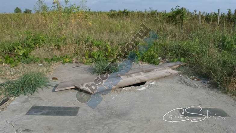 Monument Mihailesti-3