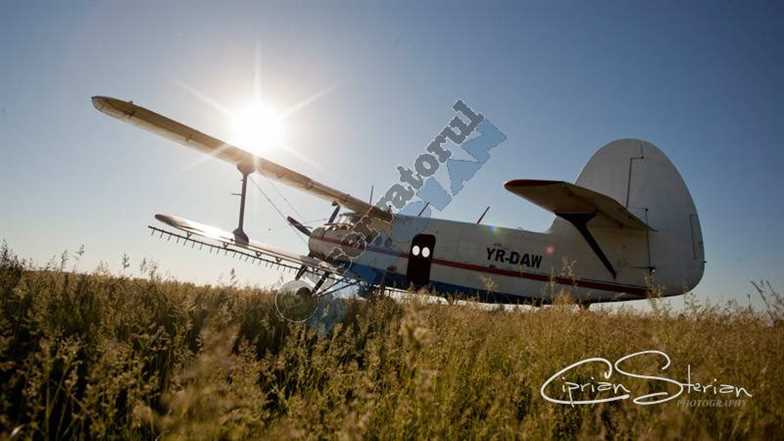 Aviotratament-19
