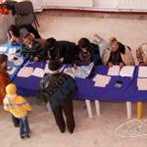 Alegeri 2014 turul 1-4