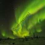 Expeditie Tiksi 2015-32