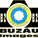 BZIMG