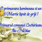 Cochirleanca