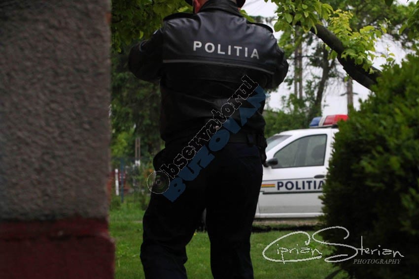 Politist