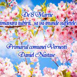 Vernesti