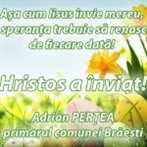 Braesti