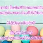 Cochirlenca