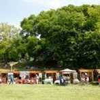 Buzau Fest ziua 1-29