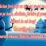Braesti