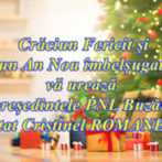 Christmas morning