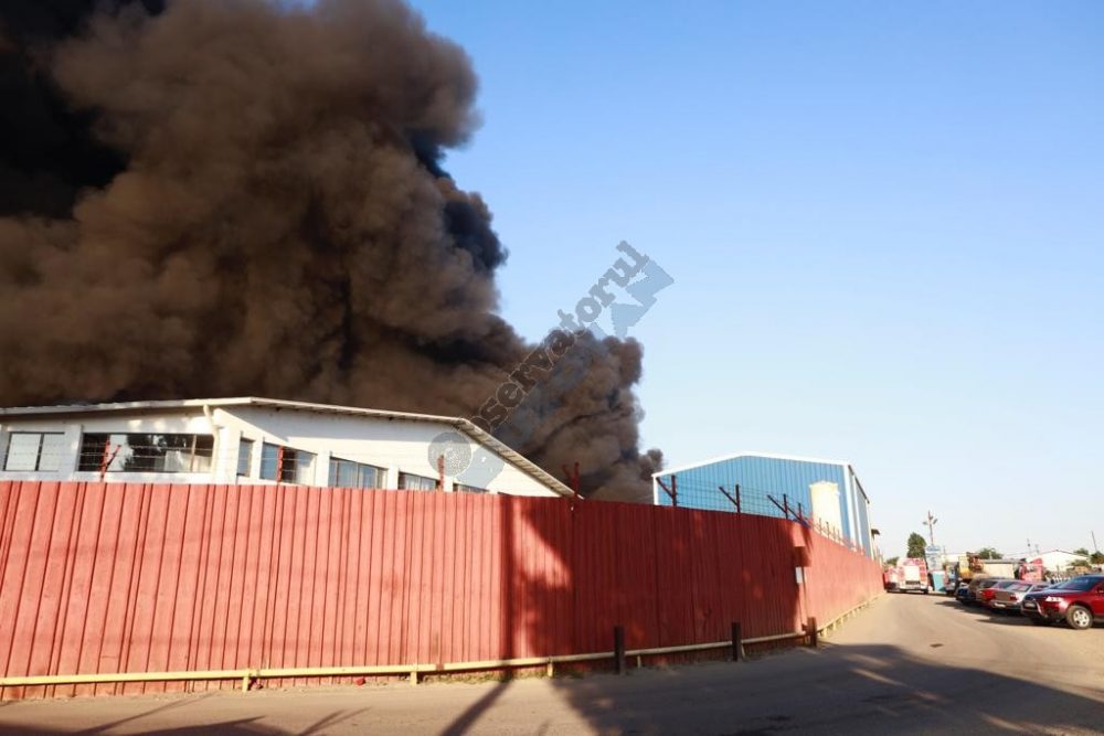 foc 2