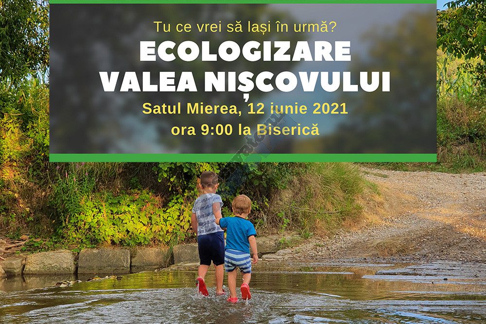 Evologizare vernesti copy