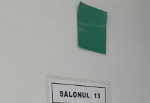 Pacienta din Salonul 13