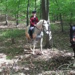 Echitatie Agrement Niscov-12