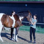 Echitatie Agrement Niscov-2