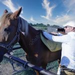 Echitatie Agrement Niscov-7