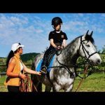 echitatie agrement N (4)
