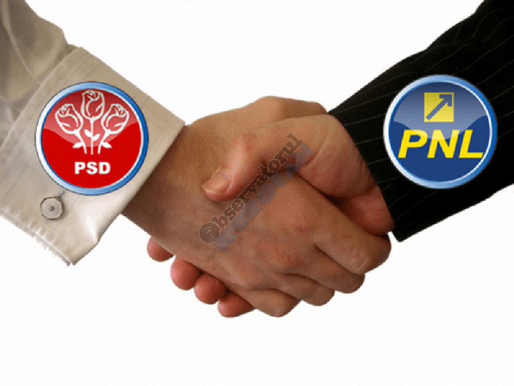 psd-pnl copy
