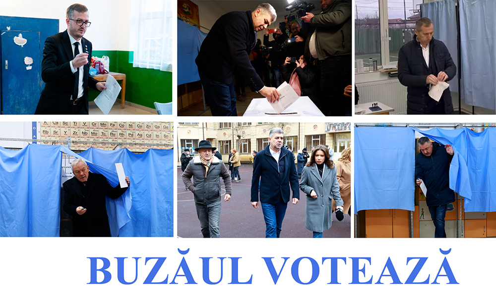 Alegeri Partiale vot