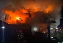 Incendiu devastator la Buzău: apel la solidaritate lansat de deputatul Oana Matache