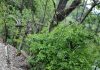 Ploile abundente au produs pagube în mai multe localități din județul Buzău. Drumuri afectate, alunecări de teren și un podeț distrus
