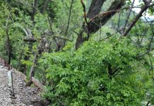 Ploile abundente au produs pagube în mai multe localități din județul Buzău. Drumuri afectate, alunecări de teren și un podeț distrus