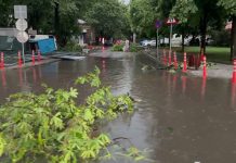 Furtuna a făcut prăpăd în județul Buzău: zeci de copaci doborâți, acoperiș smuls de pe un bloc și un bărbat rănit grav la Stâlpu