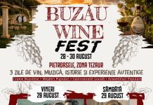Buzău Wine Fest, primul eveniment organizat de OMD Județul Buzău. Pietroasele devine, timp de trei zile, capitala vinului și a patrimoniului local