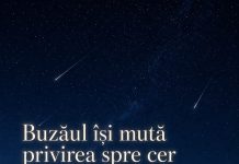 Noapte sub Perseide, la Biserica dintr-o Piatră. OMD Buzău pune la dispoziție două autocare pentru cei care vor să vadă spectacolul cerului