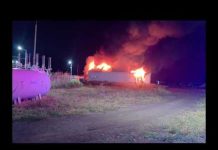 Incendiu de amploare la o hală cu baterii din Stâlpu. Pompieri din patru județe și București intervin de la mare distanță